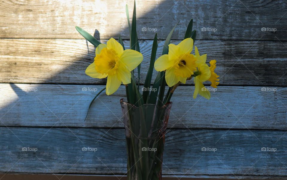 Spring flowers