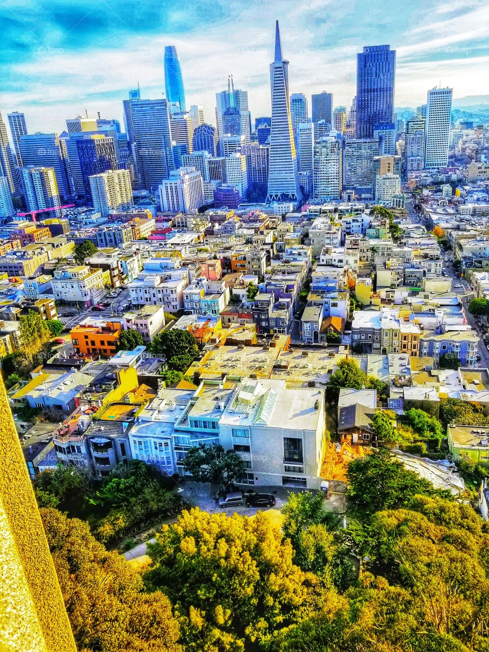 SAN FRANCISCO|california