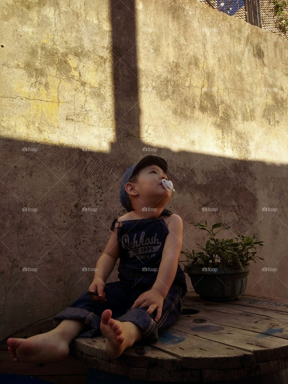 octubre en el patio de casa