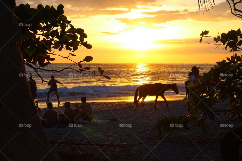 Interesting event on the beach.  Young people enjoy while a lonely horse walks along the beach