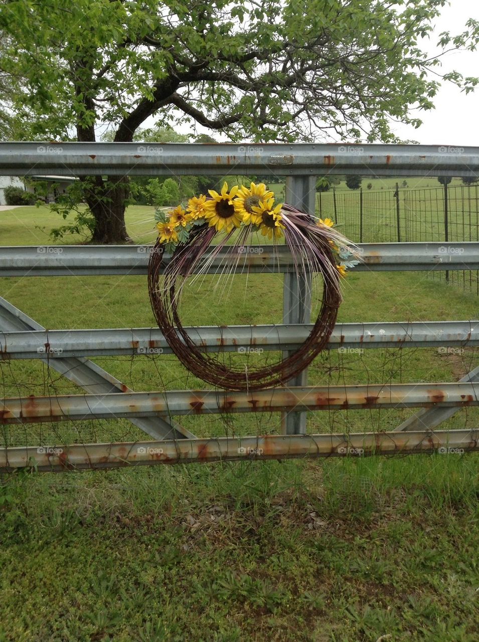 Barbed wire wreath. 