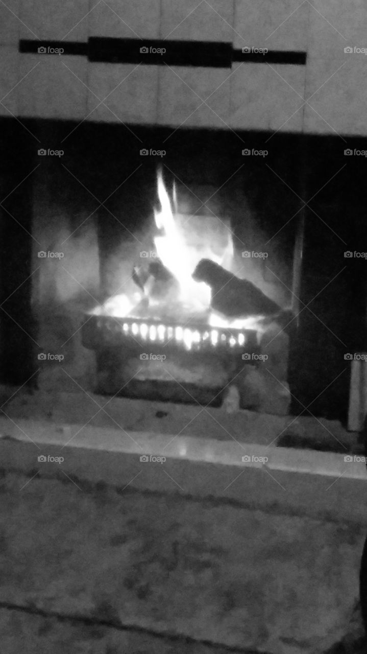 black and white fire. he wood looks like a parrot. thought it looked cool