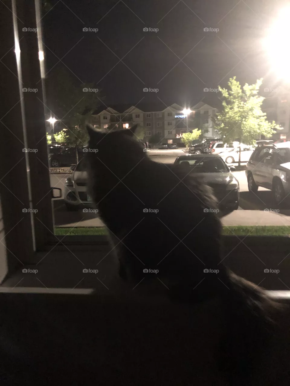 Night watch