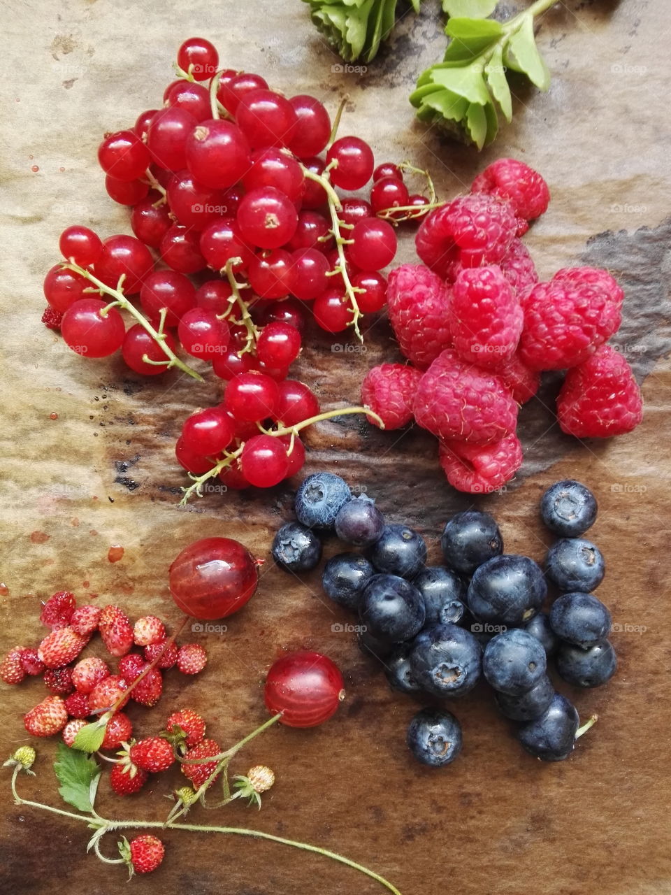 High angle view of berries on table