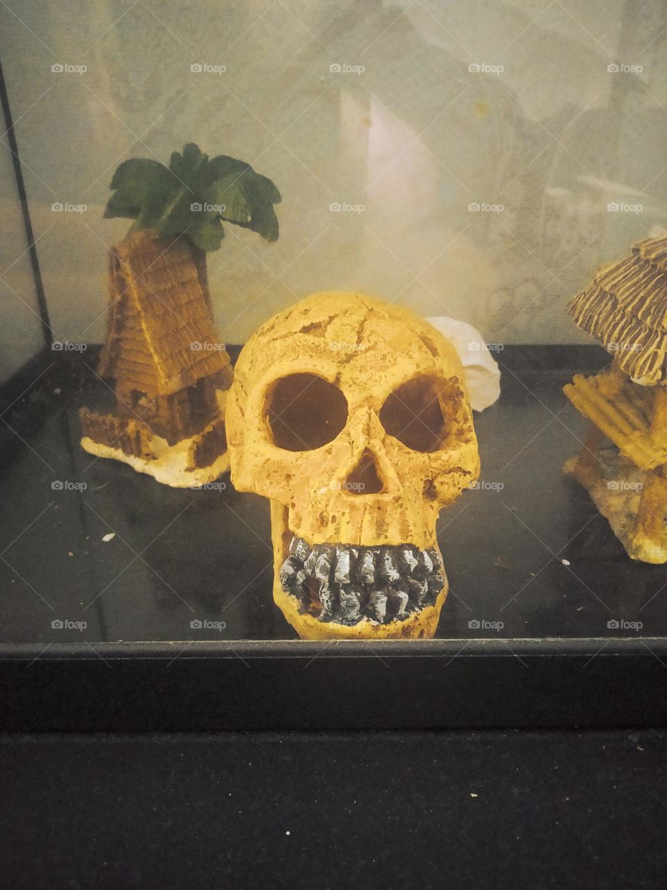 skull two