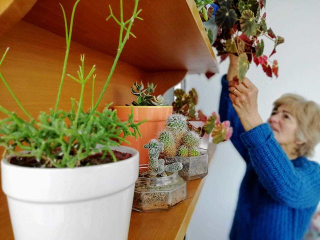 Crazy plant people