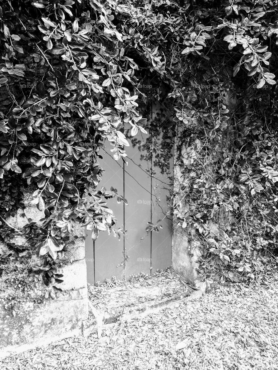 Black and White Hidden Door