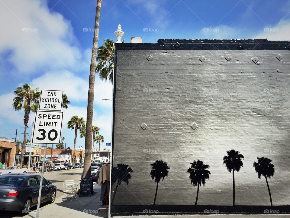 Venice beach art