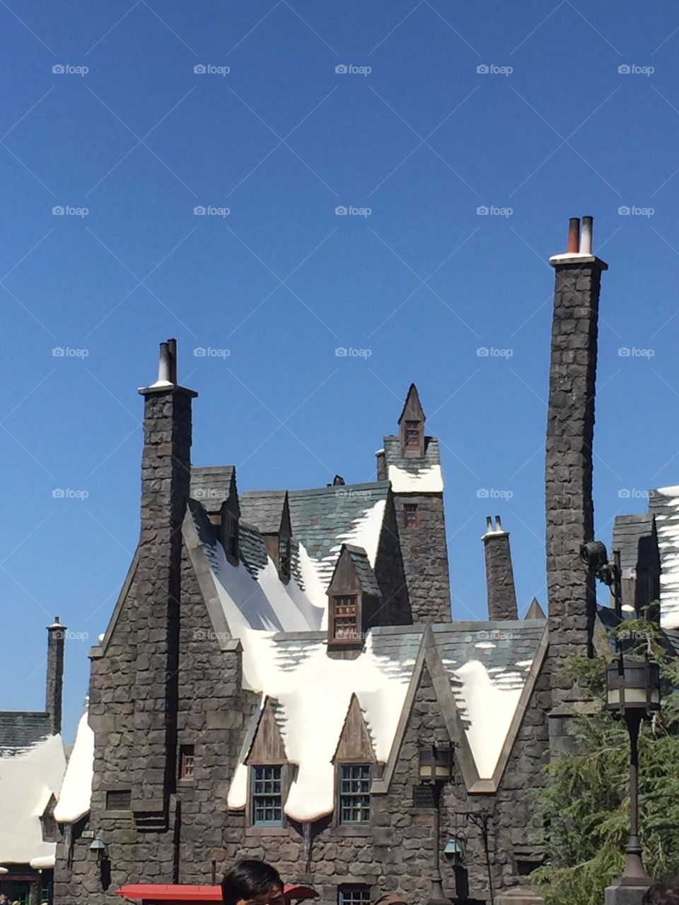 Hogsmead roof tops