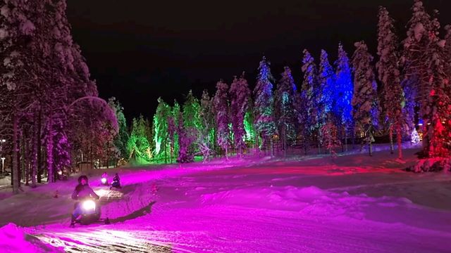 the secret forest