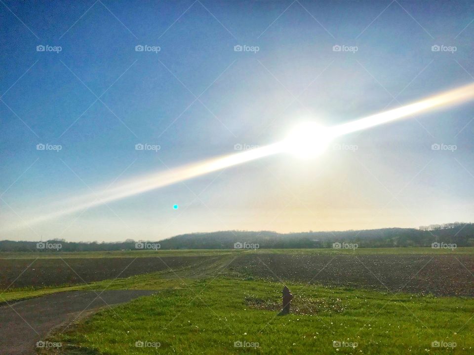 Beauty is all around 