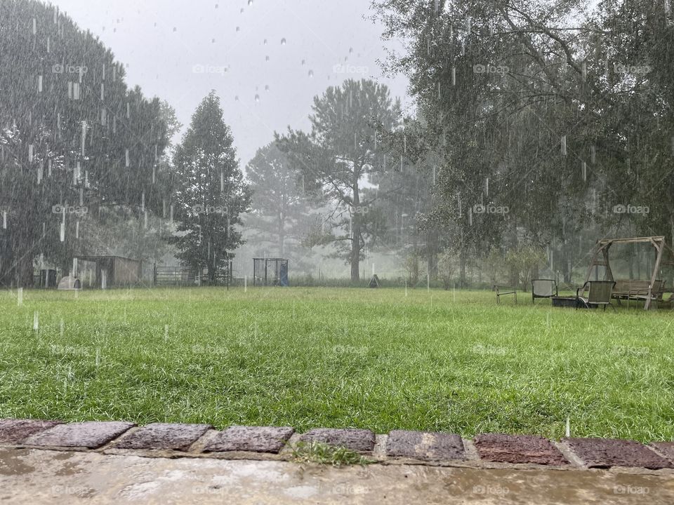 Watching the rain fall. 