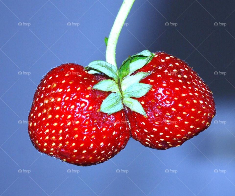 Клубничка выросла