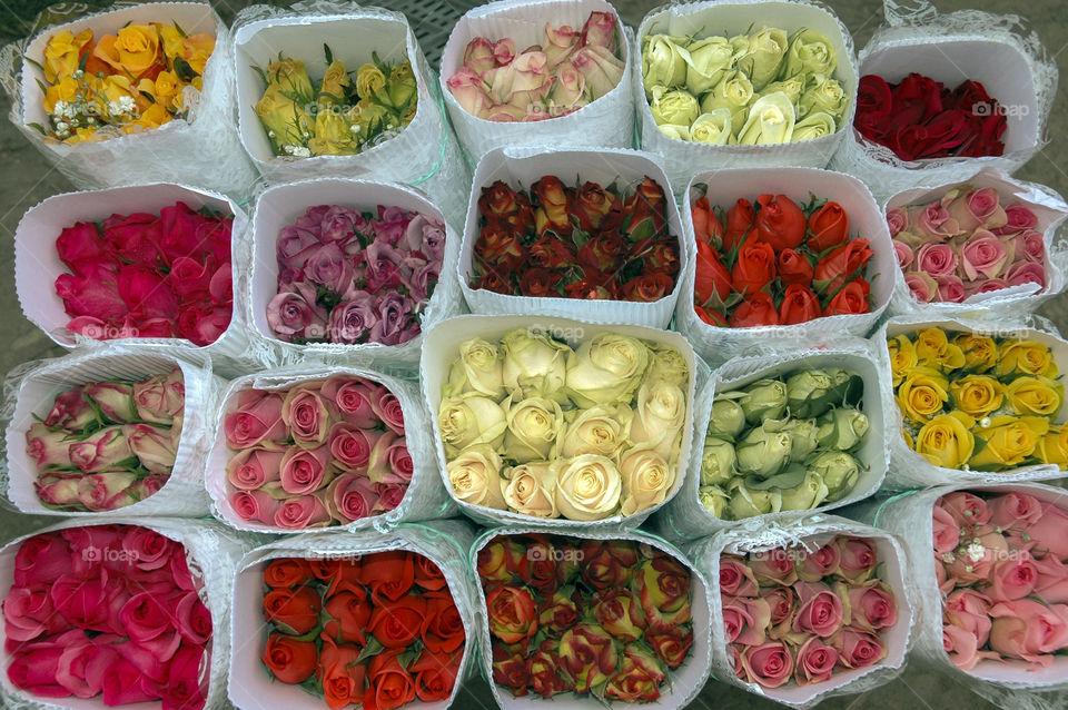 Bouquets of flowers Rosas Colombianas varied