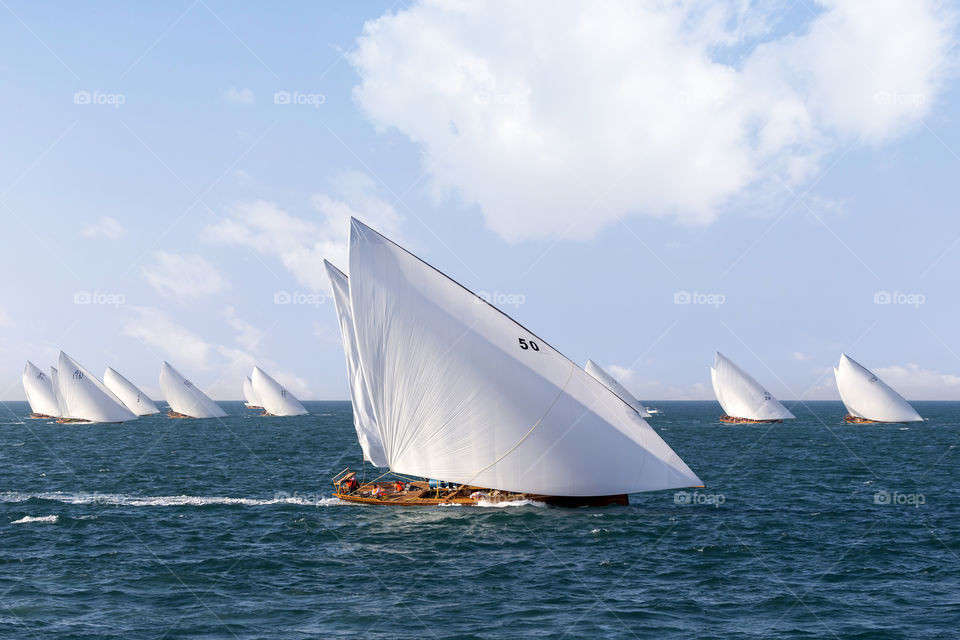 Traditional dhow race in Abu Dhabi