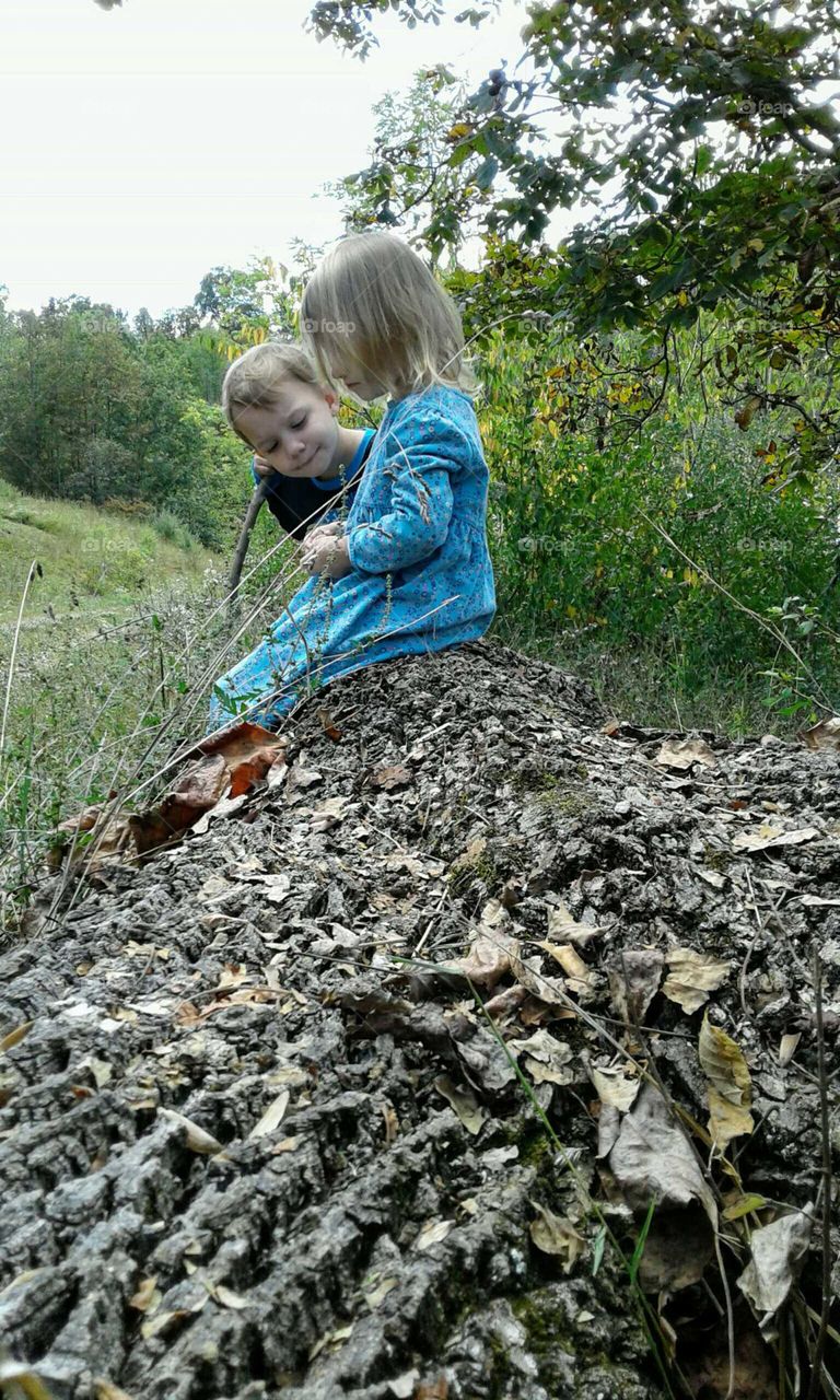 Sitting on a log