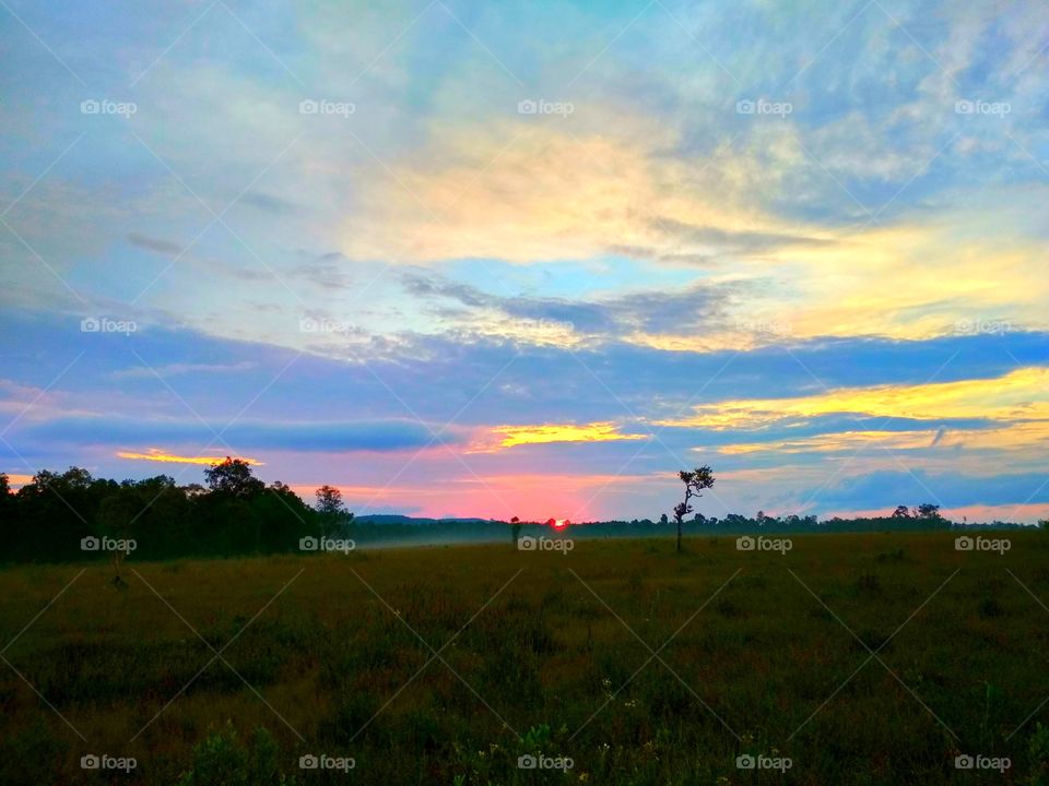 Sunrise Meadows scenic