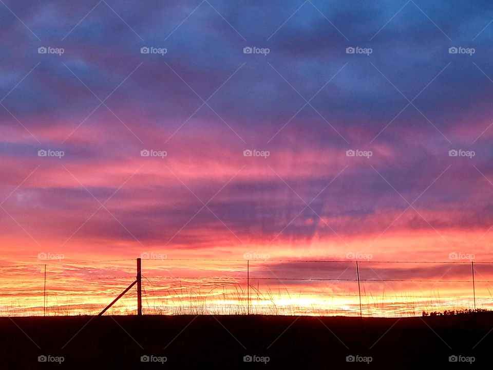 Sunset colors painting the sky