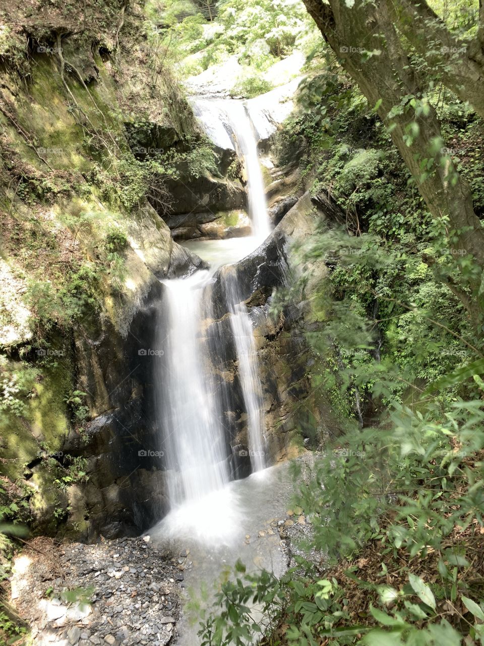 Hidden waterfalls in the forest.