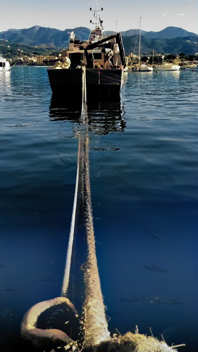 Above & Below Water