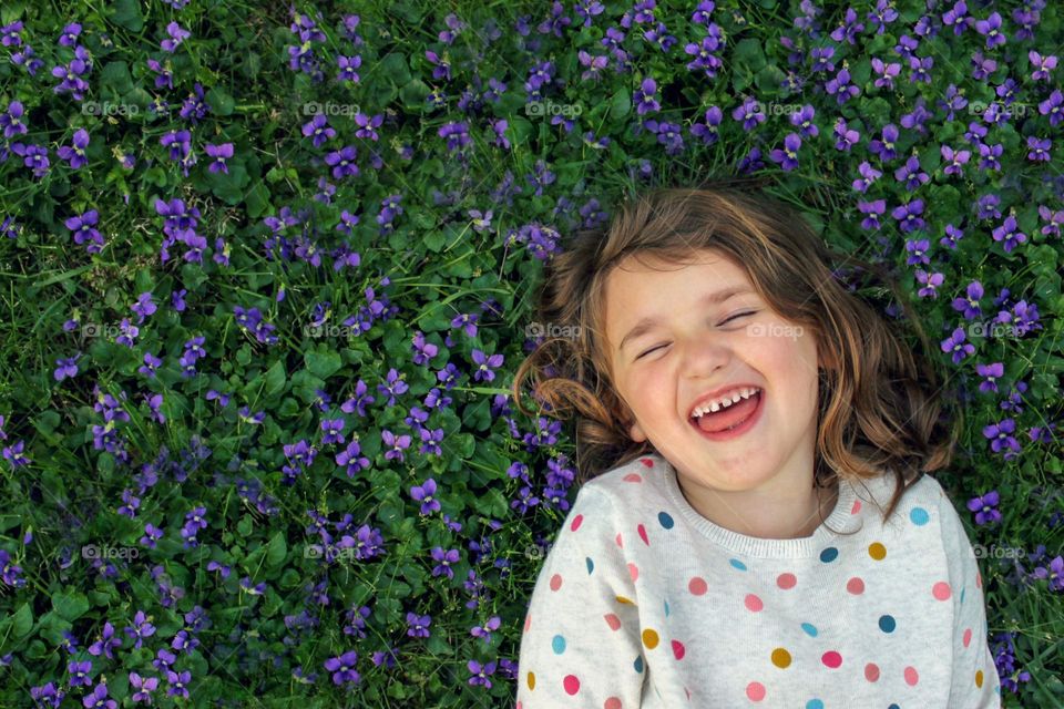 Purple flowers