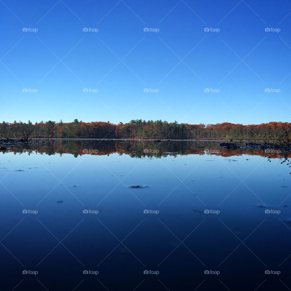 Glass lake 