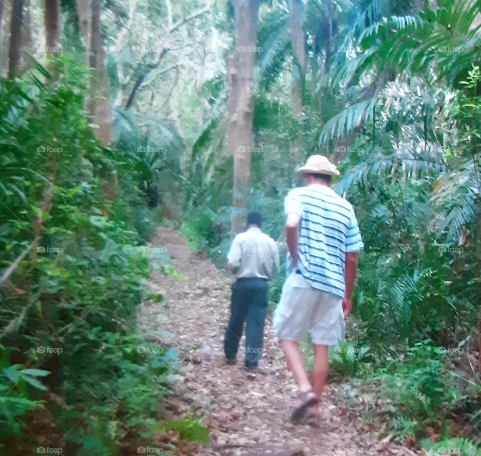 Zanzibar gardens