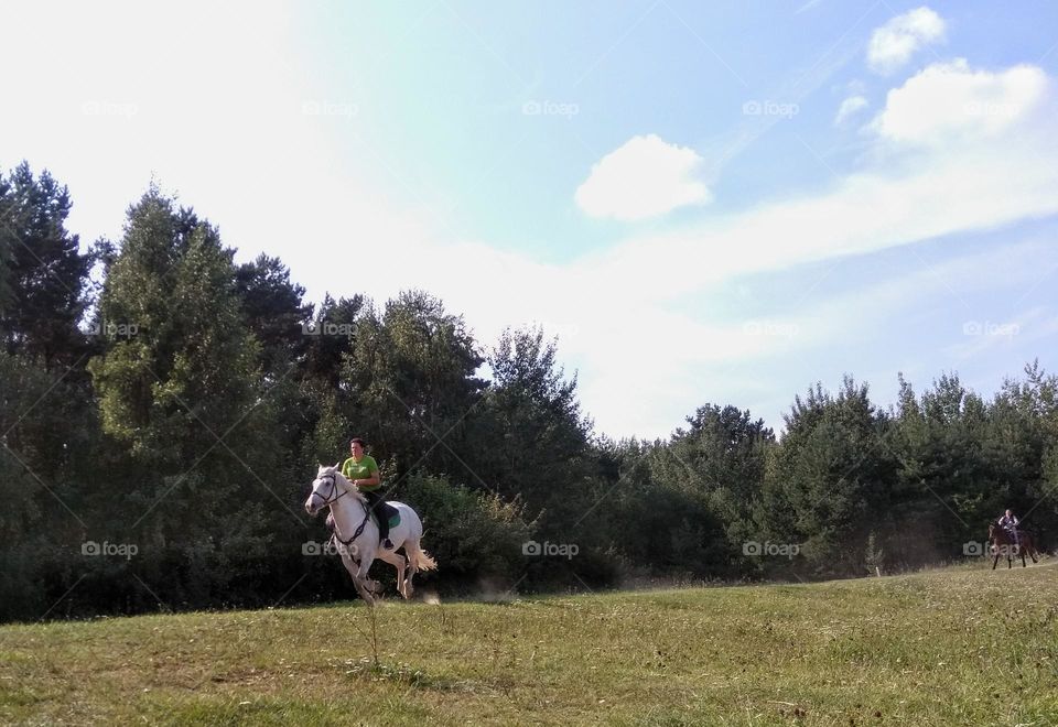 people riding on a horses beautiful nature landscape