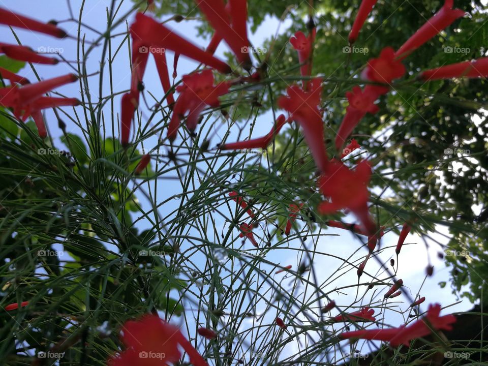 Looking up from a small world