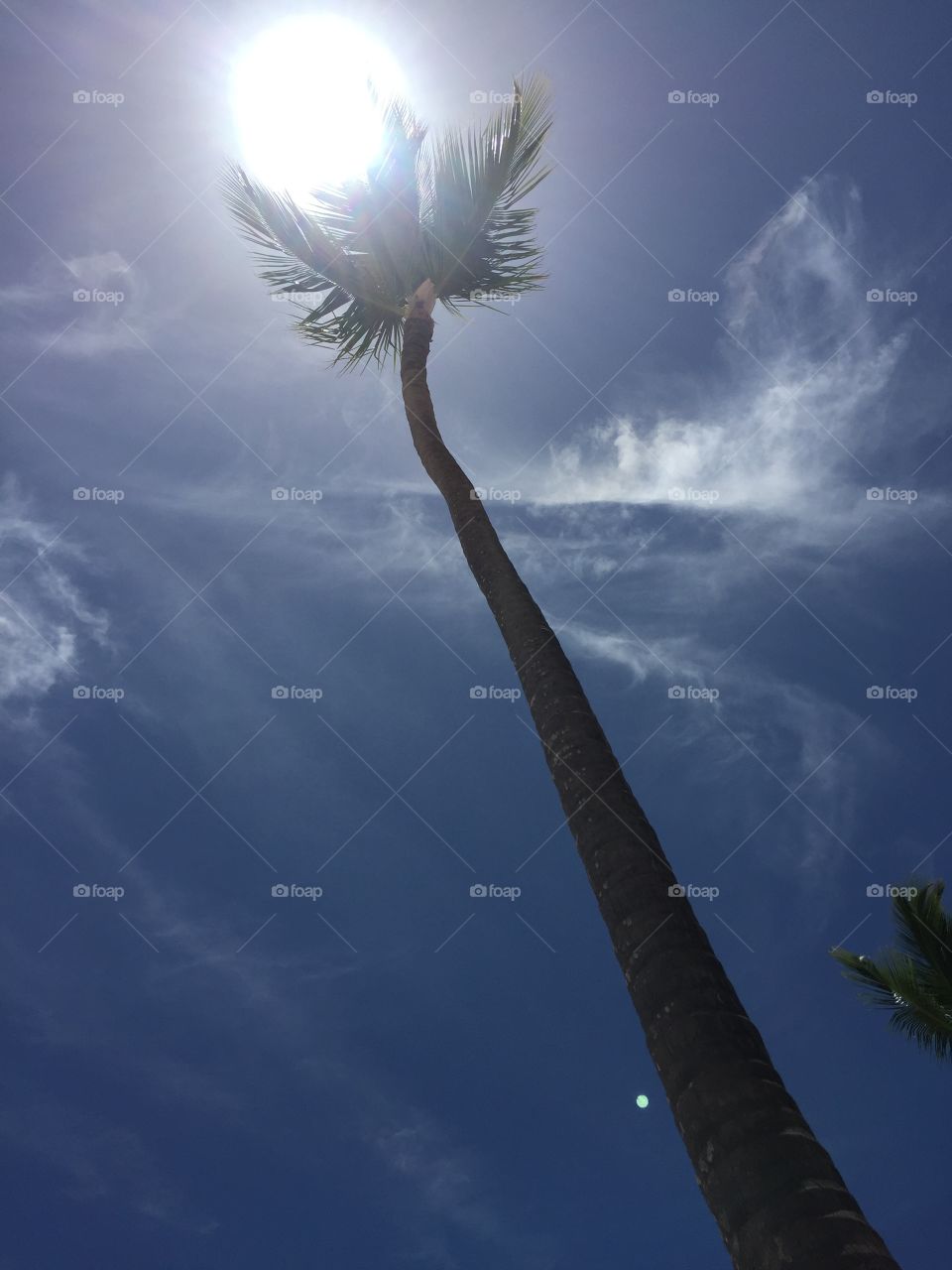 Life is good!!  It gets no better than this view 