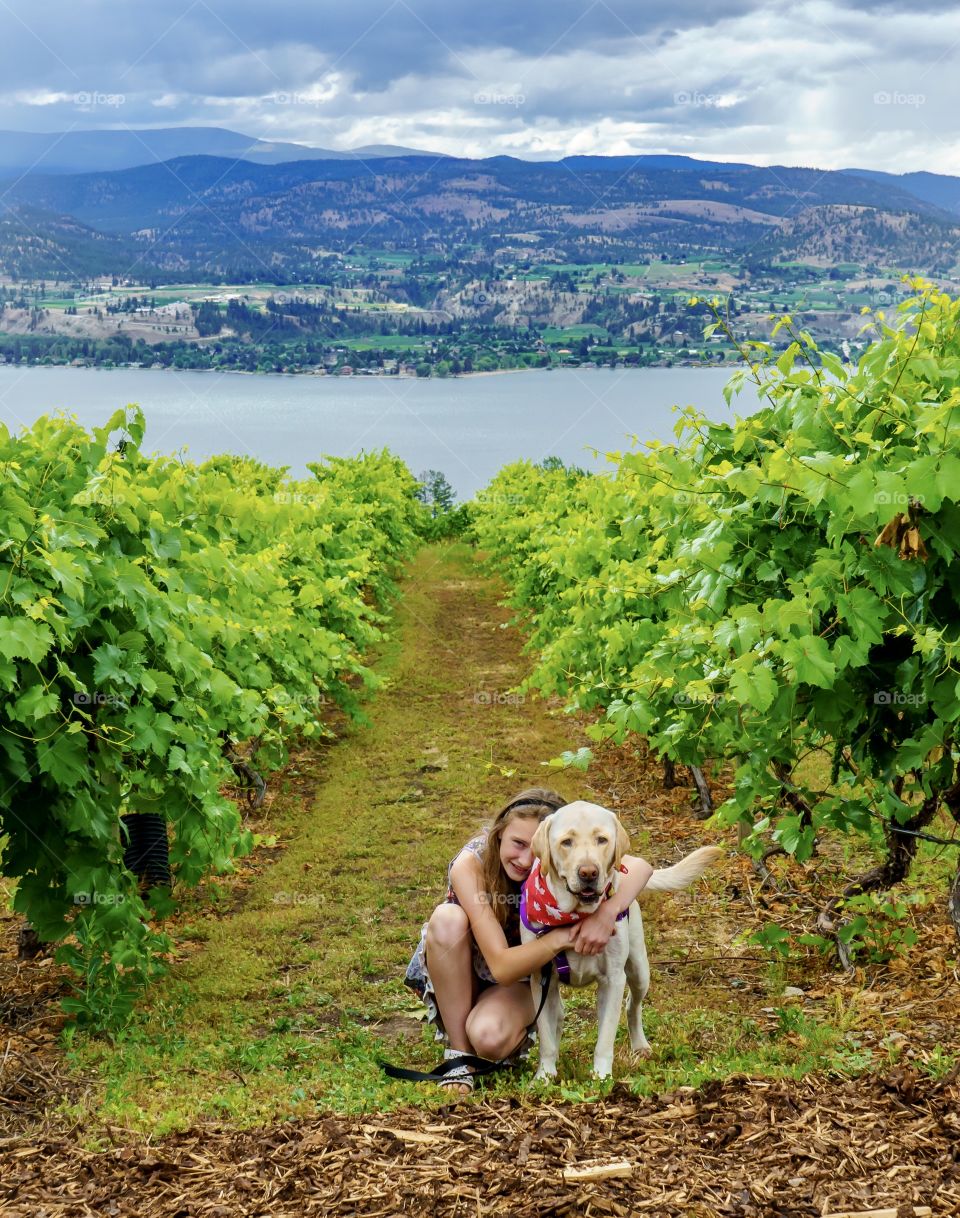 Girl and her dogs at vineyards above Okanagan Lake with mountains and valley below 