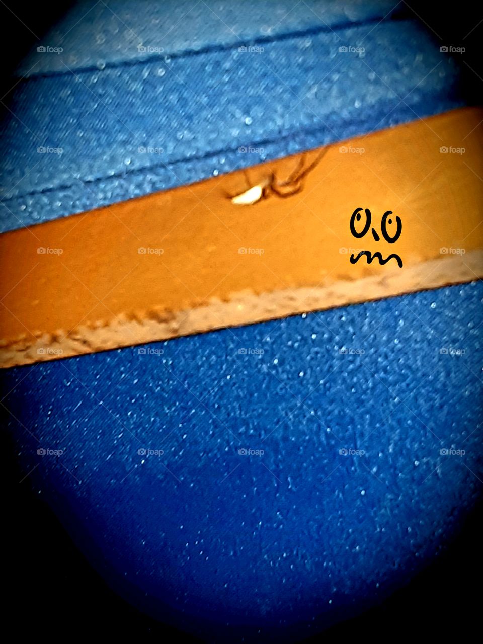 I didn't see you there