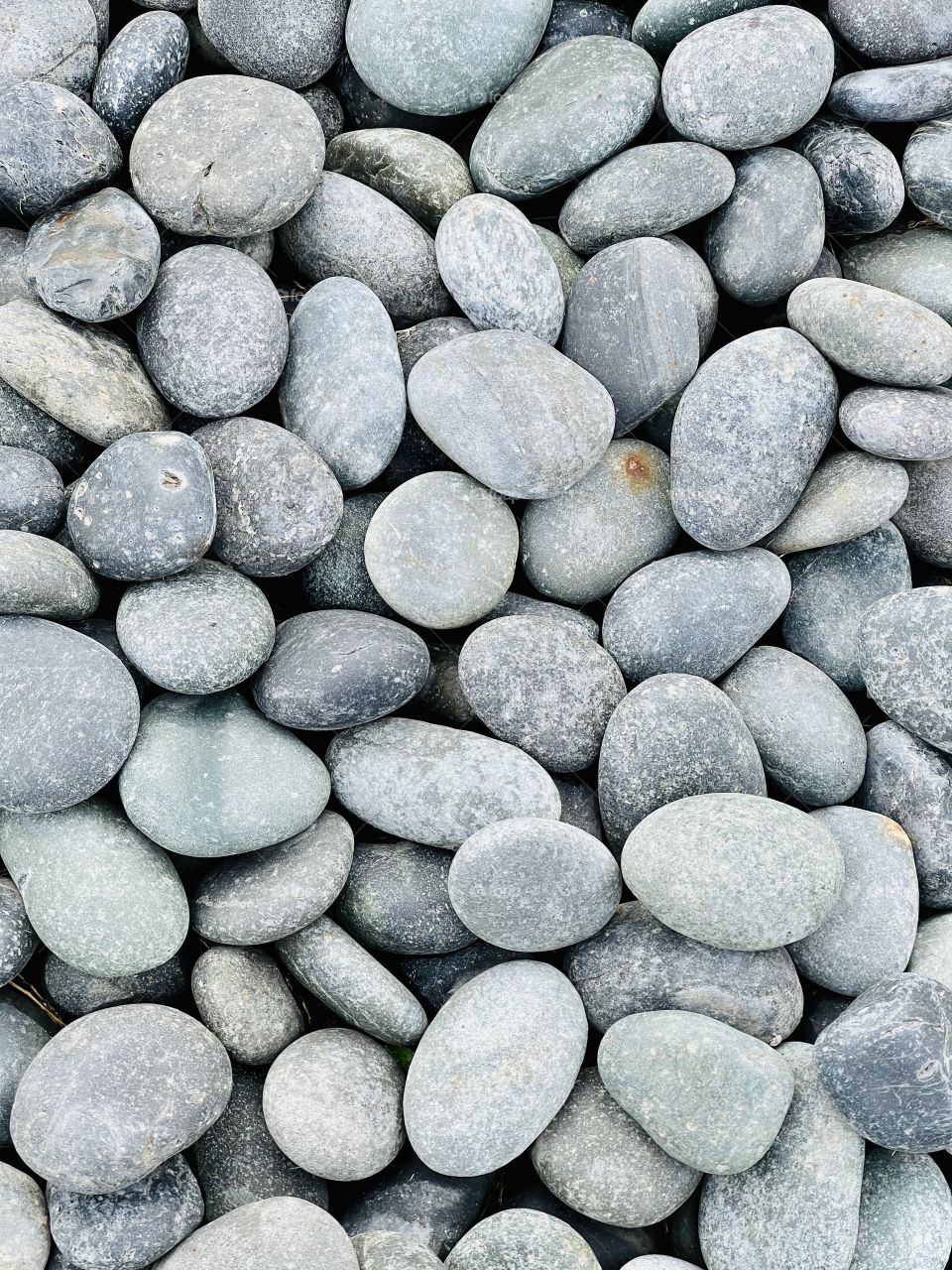 The group of rocks in the garden