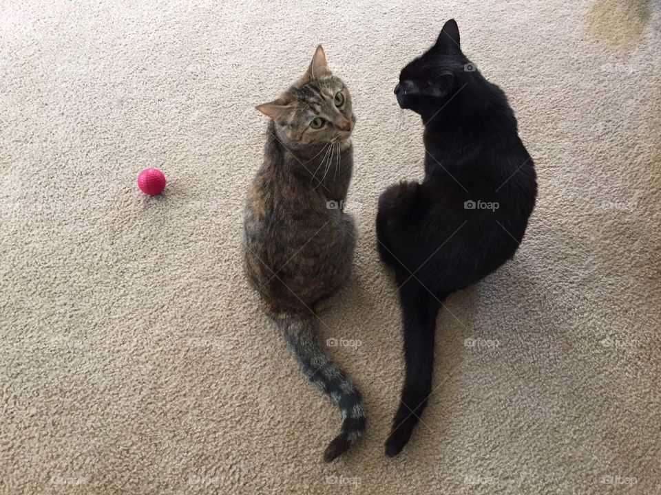 We'd like to play now. 