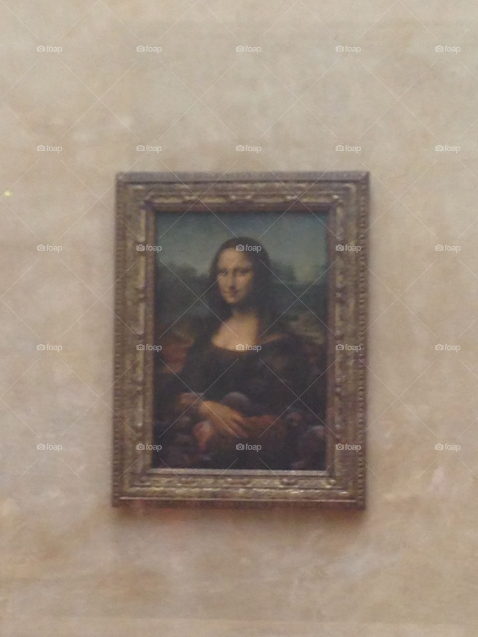 The incredibly famous painting of Mona Lisa by Leonardo di Vinci. You’d be amazed at how many people go to the Louvre in Paris just to take a photo of her painting. 
