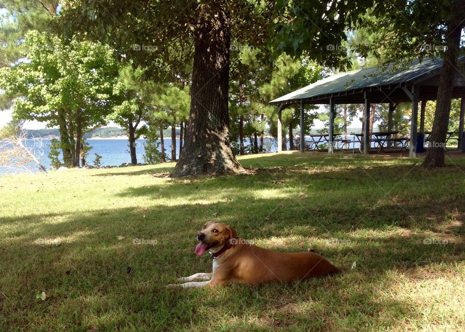 Lake Day 