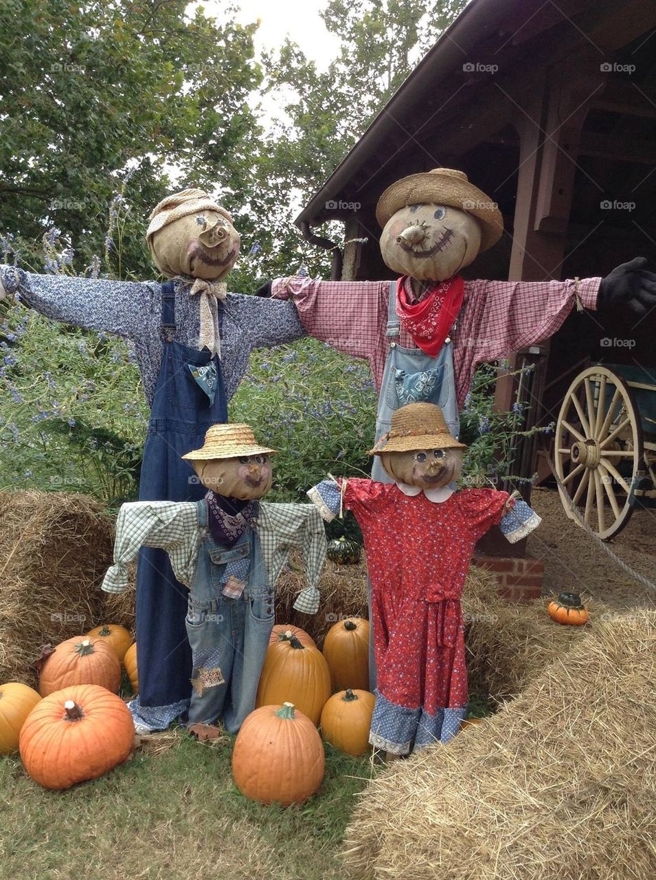Scarecrow family 