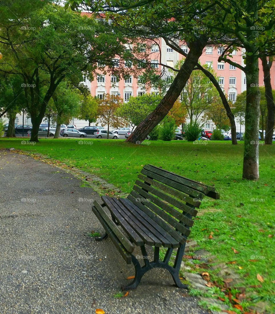 Bench