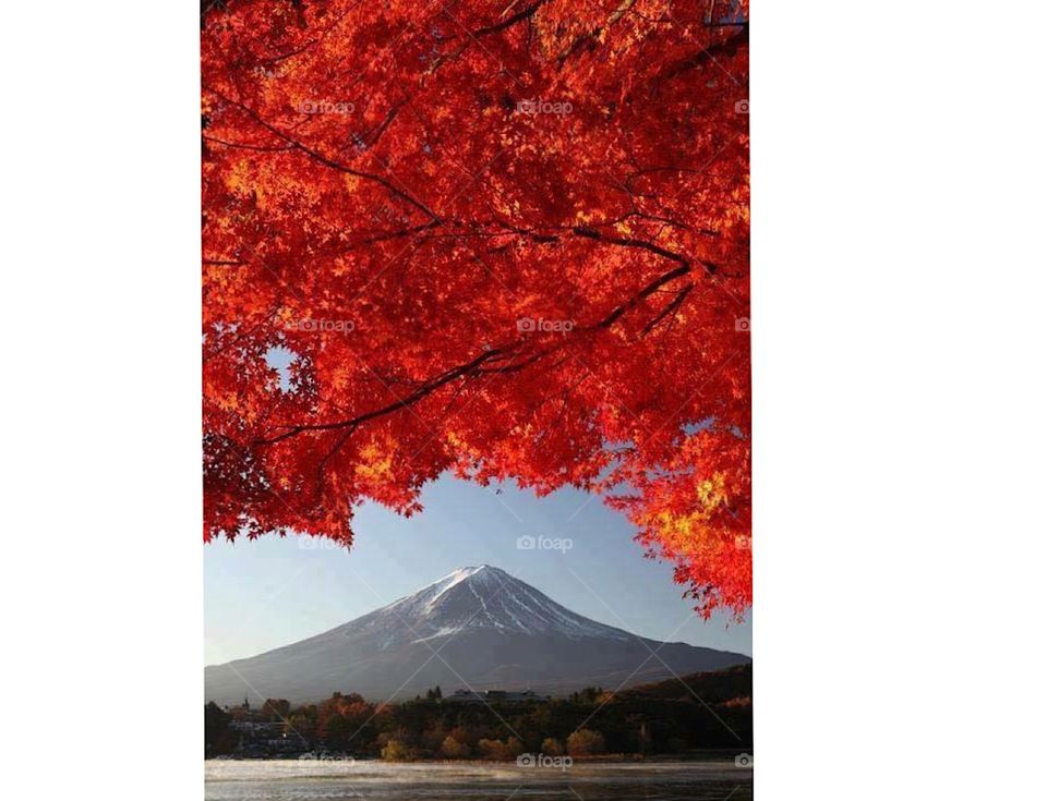Mount Fuji is all time best