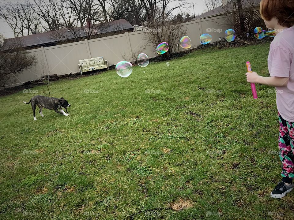 Dog, girl, and bubble fun