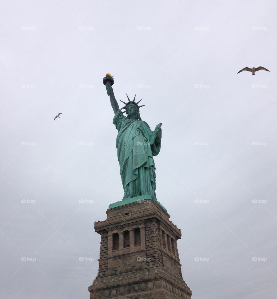 Statue of Liberty. Nyc at its pinnacle 