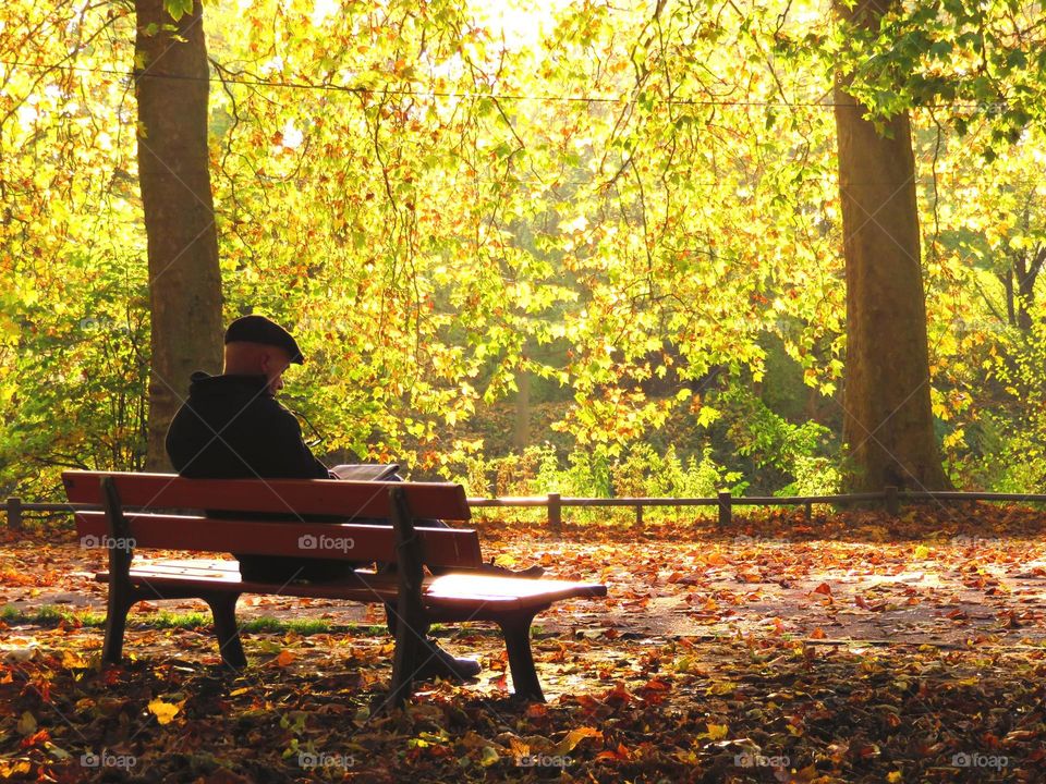 reading peacefully in the afternoon in Autumn