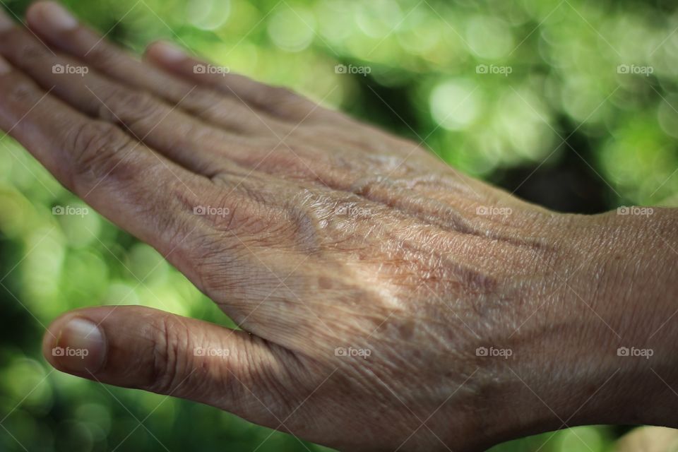 Senior woman hand shows aging 