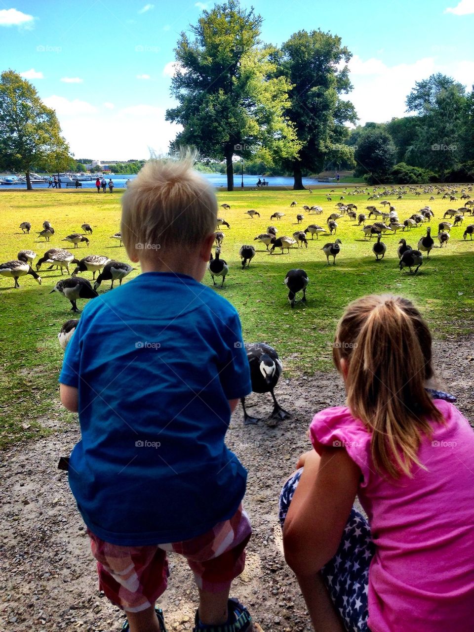 Kids feeding the birds!