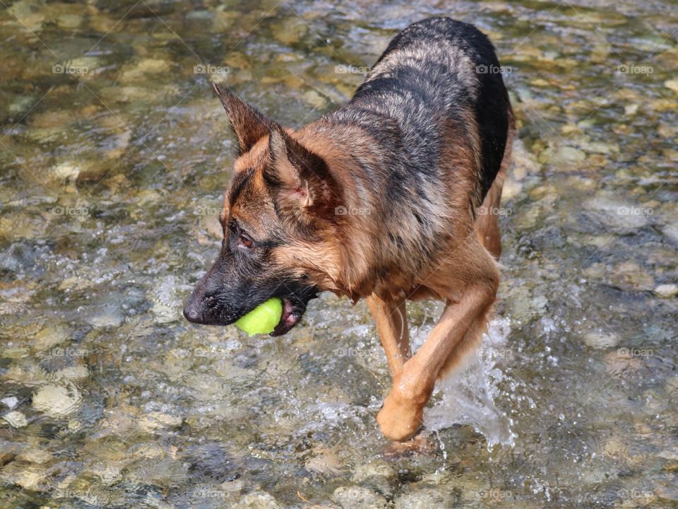 Swimming is so much fun! 