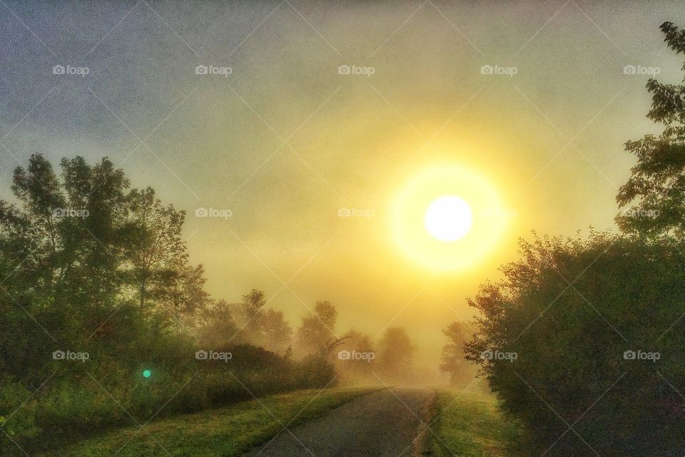 Sunlight on empty road