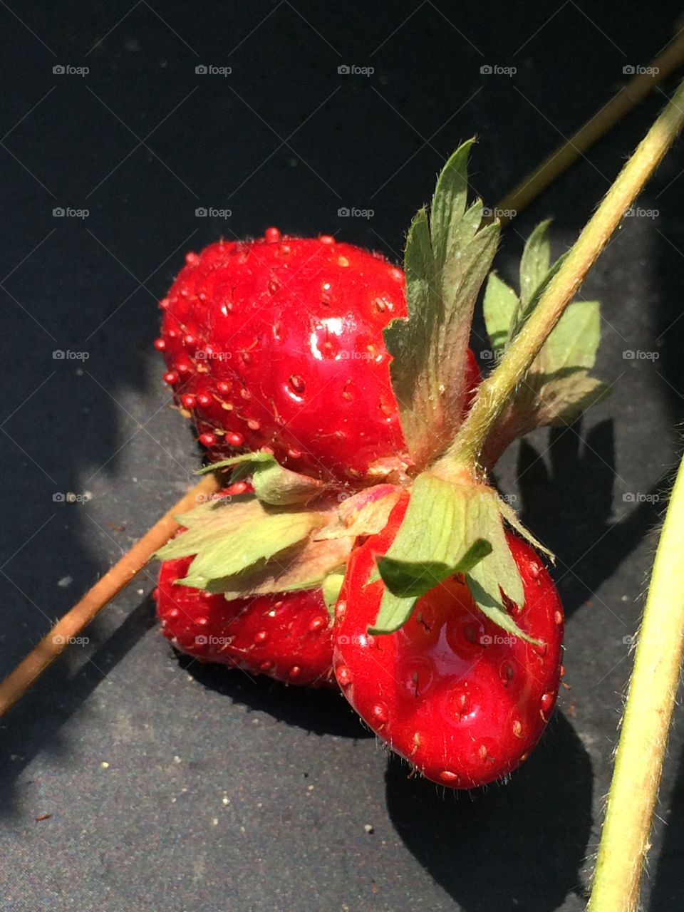 Strawberry 