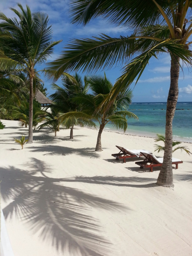 dominican republic beautiful beach tropical weather by michelle07