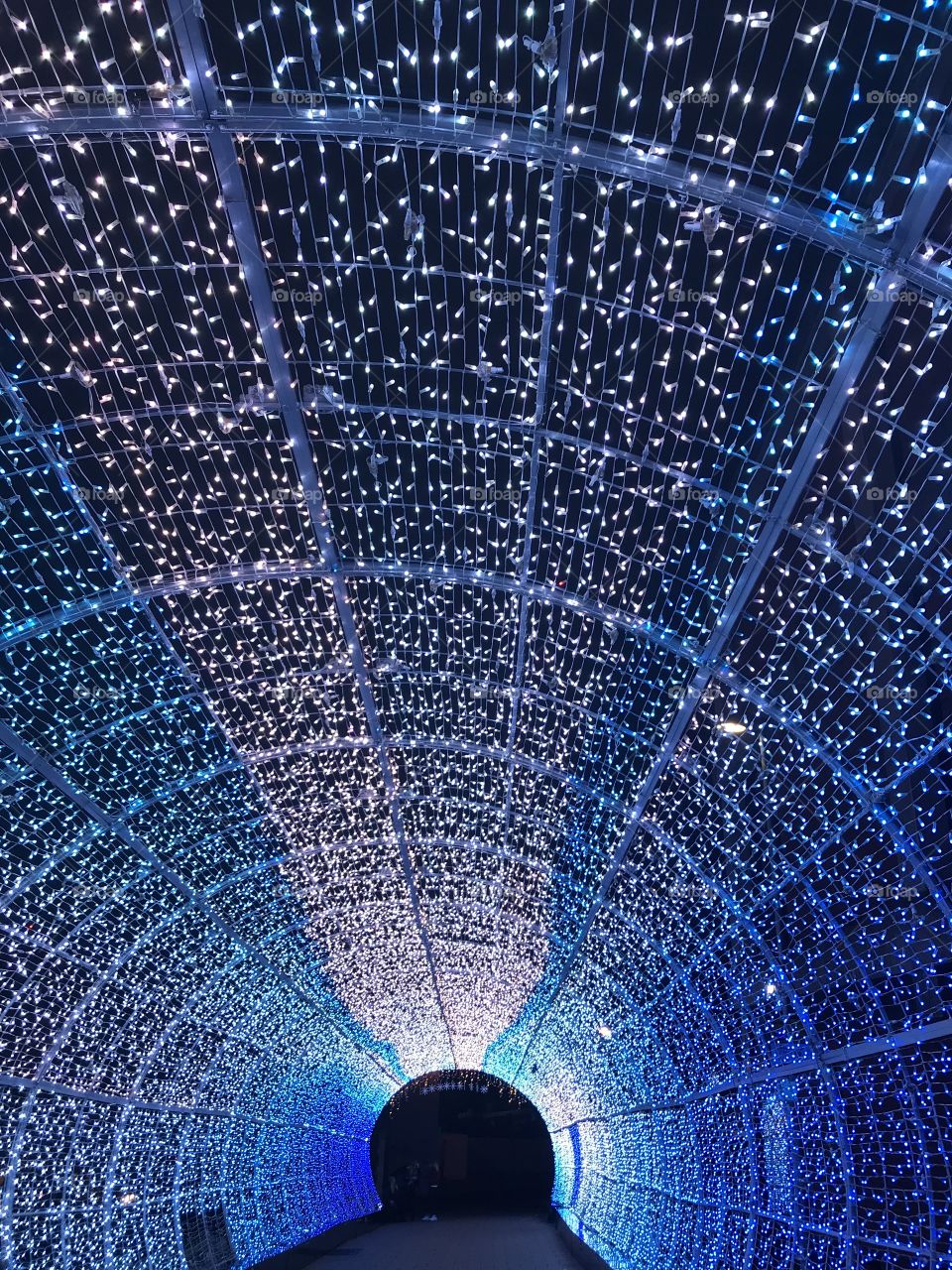 Norwich tunnel of lights