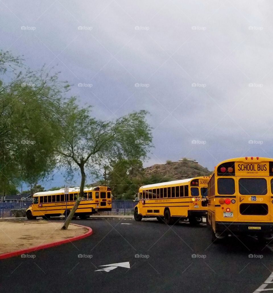 These iconic yellow buses transport children to and from schools every day